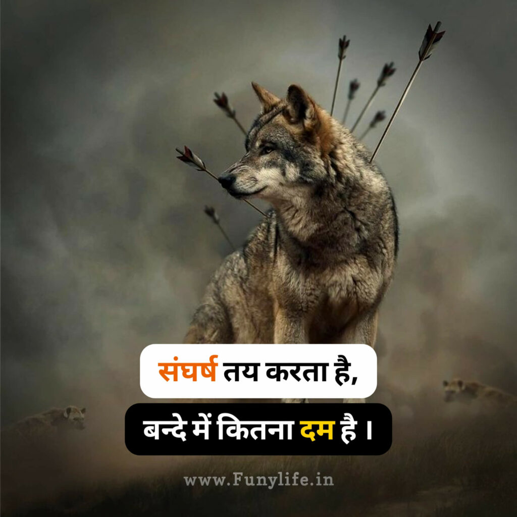 Royal Attitude Status in Hindi | Best 100+ रॉयल ऐटिटूड स्टेटस हिंदी
