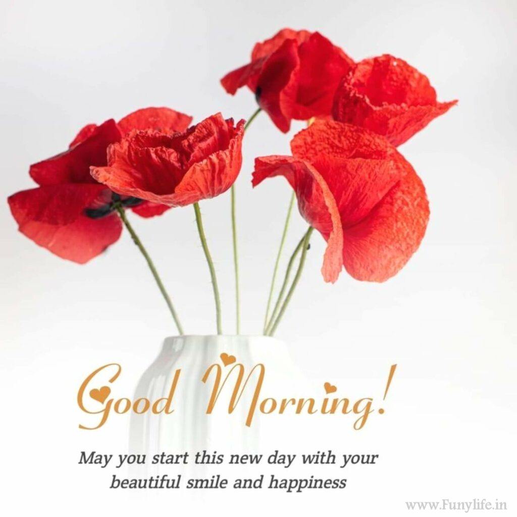 100+ New Beautiful Good Morning Images & Wishes 2023