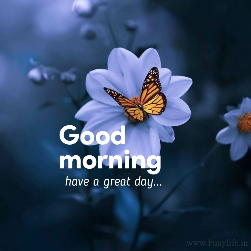 100+ New Beautiful Good Morning Images & Wishes 2023