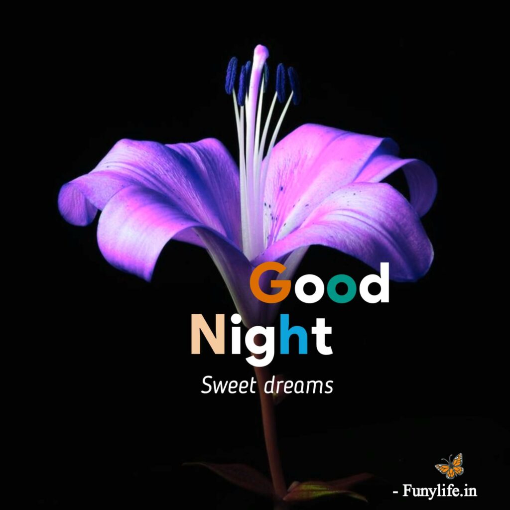 Incredible Compilation Of Full 4K Beautiful Good Night Images Over 999   11 Good Night Images Www.funylife.in  1024x1024 