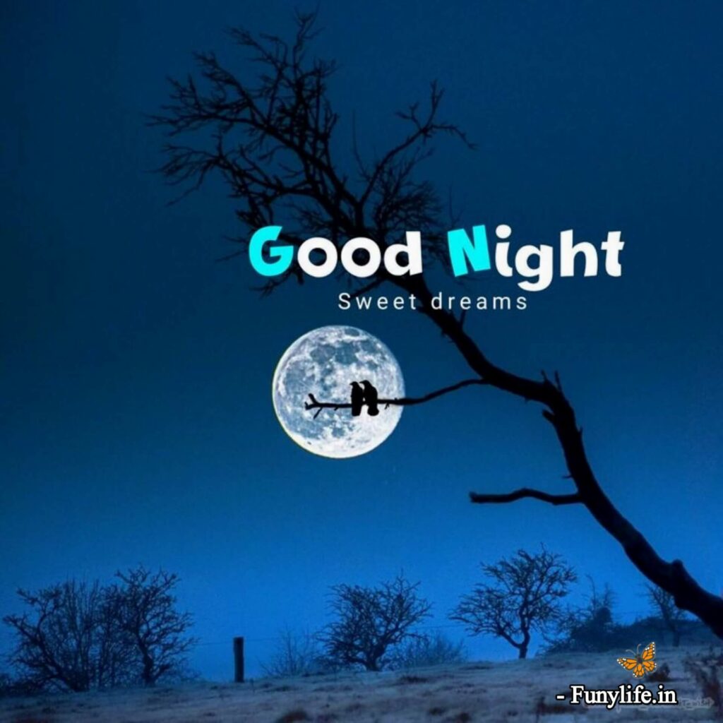 Enchanting Good Night Images To Brighten Your Dreams