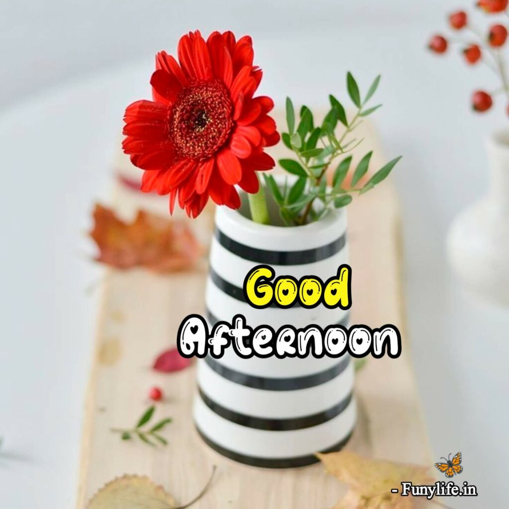 Beautiful Good Afternoon Images HD