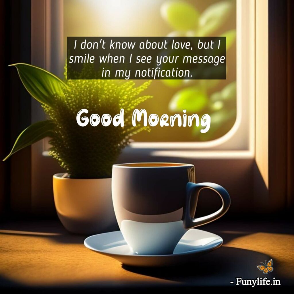 Beautiful Good Morning Quotes