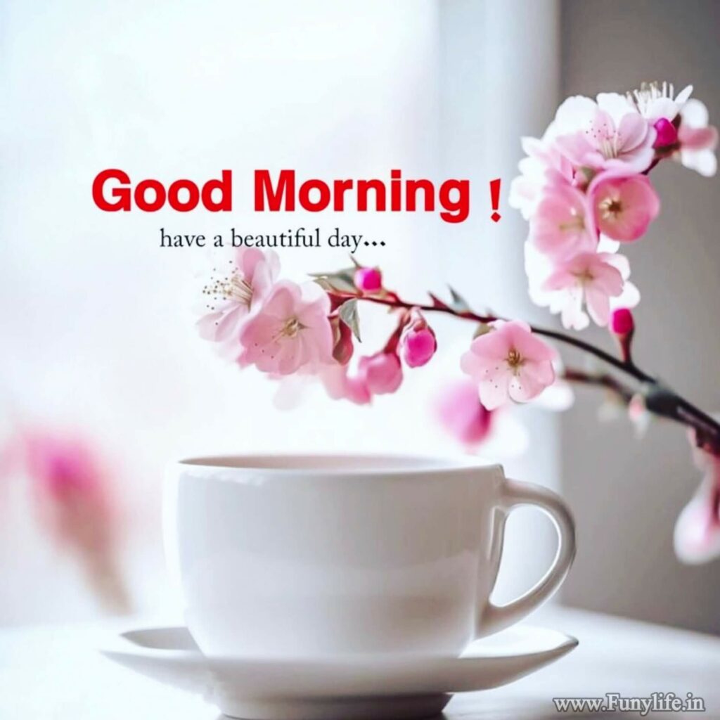 Shubh Budhwar | Happy Wednesday: Good Morning Images, Wishes for WhatsApp |  Times Now