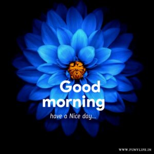 100+ New Beautiful Good Morning Images & Wishes 2023