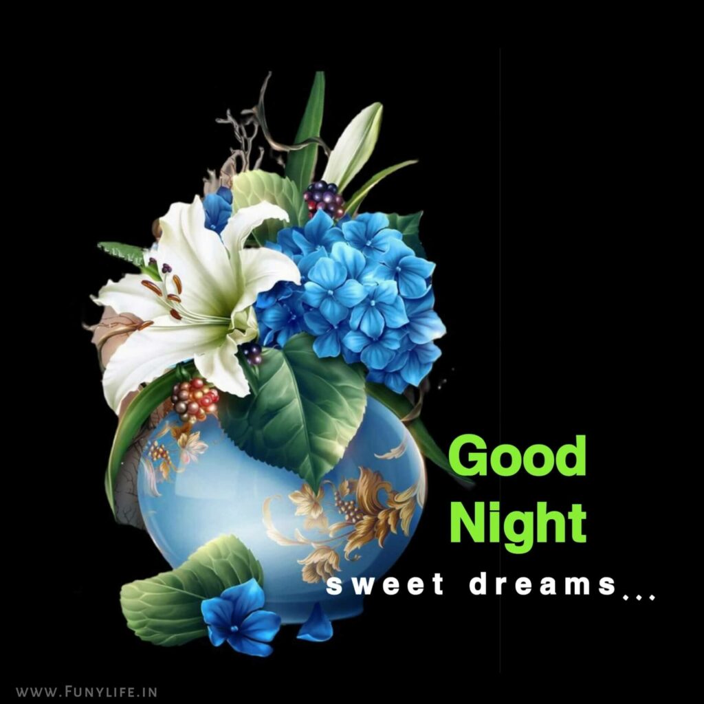 Good Night Wishes

