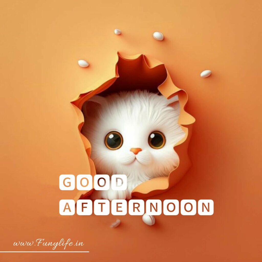 New Good Afternoon Images
